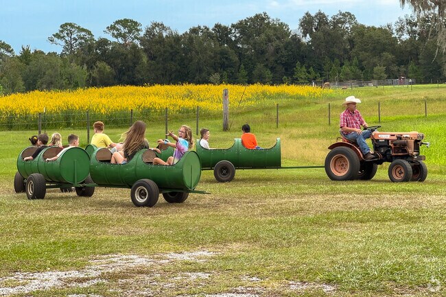 Hop aboard the Cow Train for a wild ride!