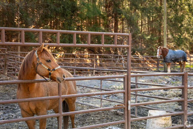 Stopping on any rural roadside around Branchville in Sussex County may lead to an encounter with a farm animal.