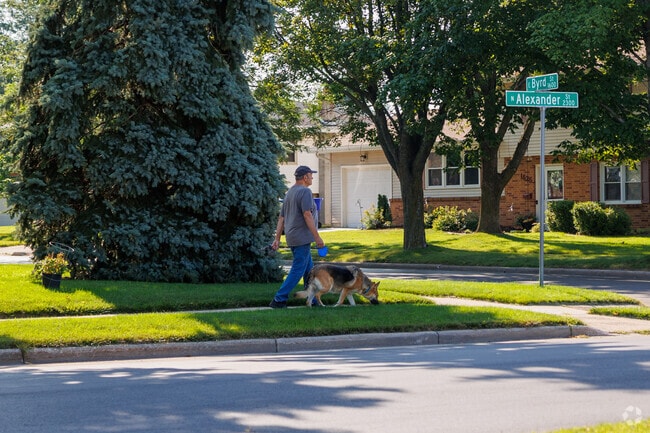 Residents in Huntley Houses walk in and out of the shade of large trees.