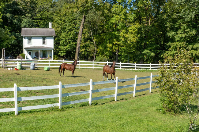 Rifton farms typically have horses for riders and private owners.
