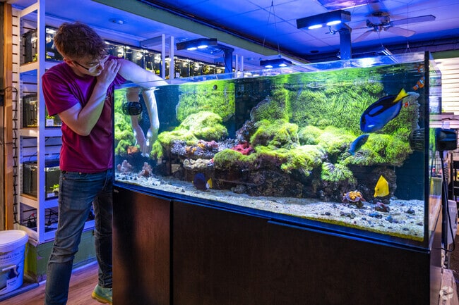 The Fish Factory in Pleasant Valley has a wonderful store for any aquarium lover.