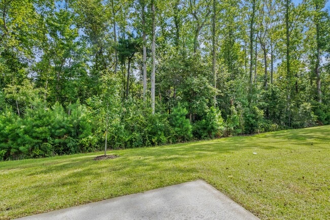 990 Cherrystone Loop, Conway, SC 29526 - photo 3