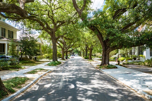Marlyville-Fontainebleau's residential streets boast dense vegetation and expansive shade.