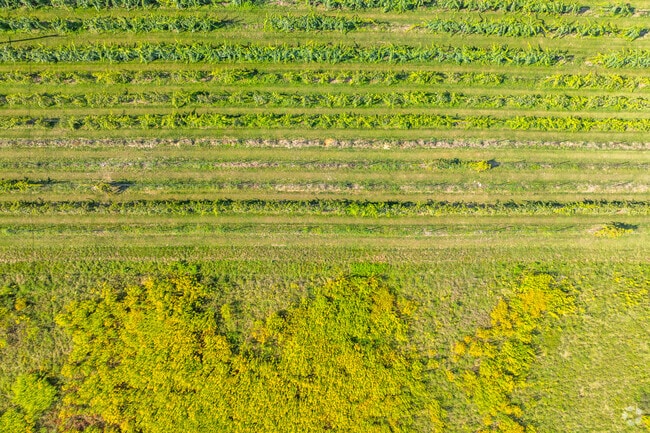 Local corn, honey, and other farm produce is easil bought in Ferguson Township at produce stand.