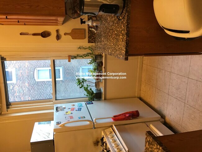 126 Warren St unit 22, Boston, MA 02119 - photo 6