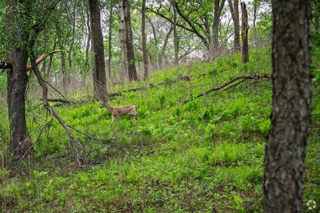 Terrace Oaks West Park has a large green space to view wildlife.