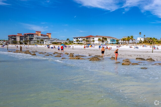 Look for seashells along the water's edge in Redington Shores.
