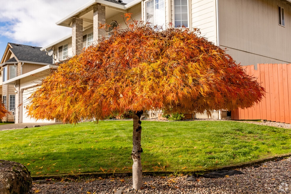 Mountain View Meadows-Orchards