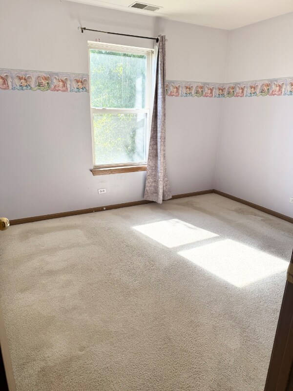 2049 Foxtail Dr, Aurora, IL 60504 - photo 6