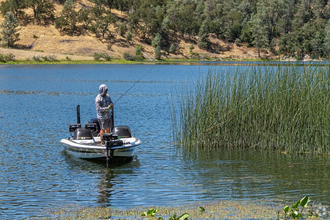 A Garden Farms fisherman knows exactly where all the fish are at the nearby lake.
