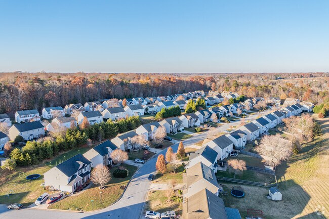 A subdivision in Squire Davis is enveloped by dense forest surroundings.