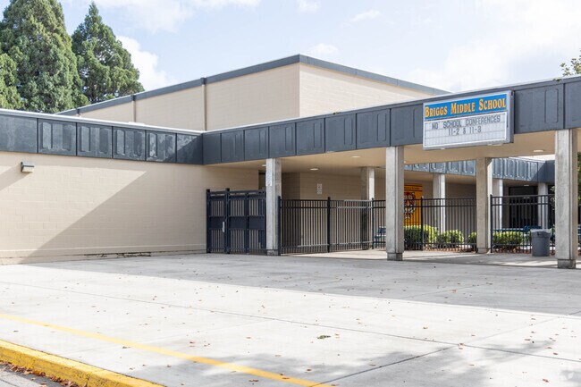 Briggs Middle School has low tests scores and kids have fallen behind.
