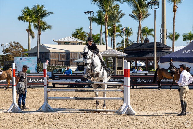 Horse races and competitions take place in the Wellington region.
