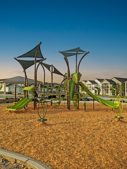 The Hang at Sunset.jpg