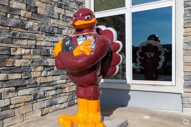 Blacksburg's iconic symbol is home to the Virginia Tech Hokies in McBryde neighborhood.