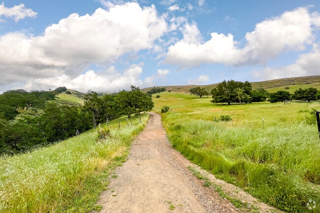 Long trail at Santa Teresa County Park in San Jose Silver Leaf neighborhood.