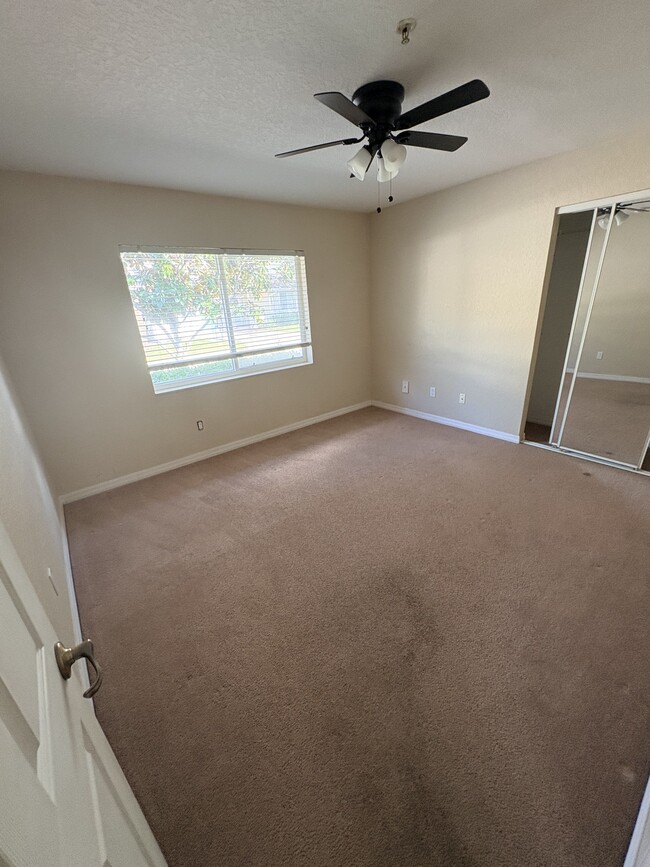 533 Wayne Ave, New Smyrna Beach, FL 32168 - photo 6