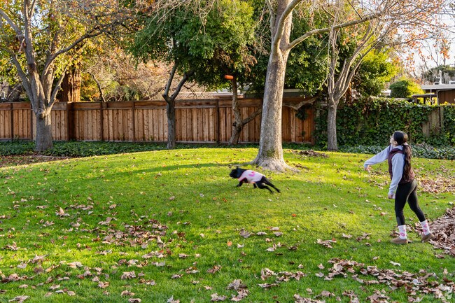 Play fetch with your dog at Thaddeus Park in Monta Loma.
