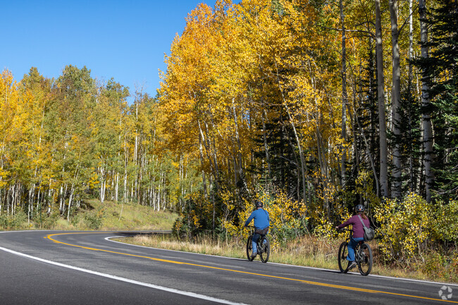 Head up the hills and take a bike ride along the Grand Mesa near Palisade Area.