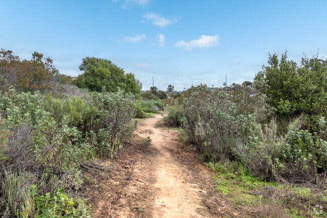 A look at the walking trail that runs along Chollas Creek.