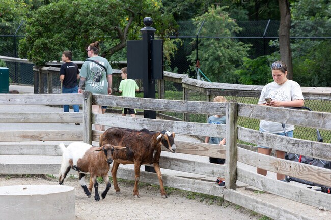 Lake Pointe kids love the goats at the Henson Robinson Zoo on the lakes East end.