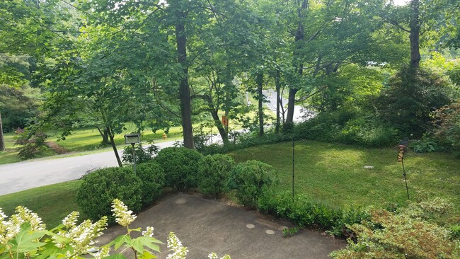 View from kitchen door to patio for table and chairs, etc...