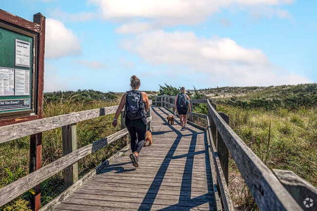 Go for a walk on the boardwalk at Robert Moses State Park.