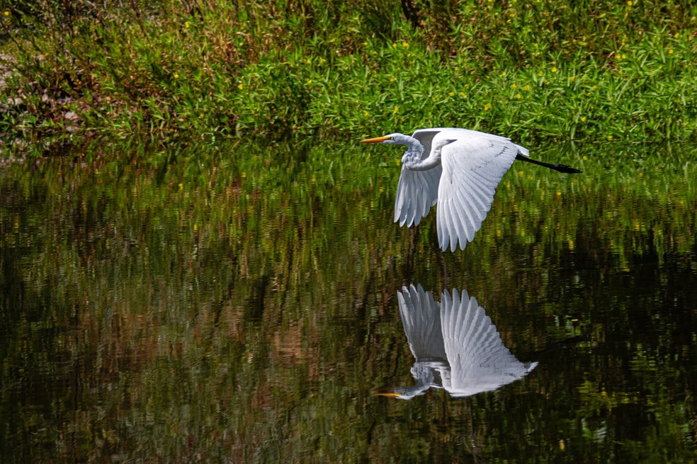 2567 N Fitch Mountain Rd unit 2, Healdsburg, CA 95448 - photo 1
