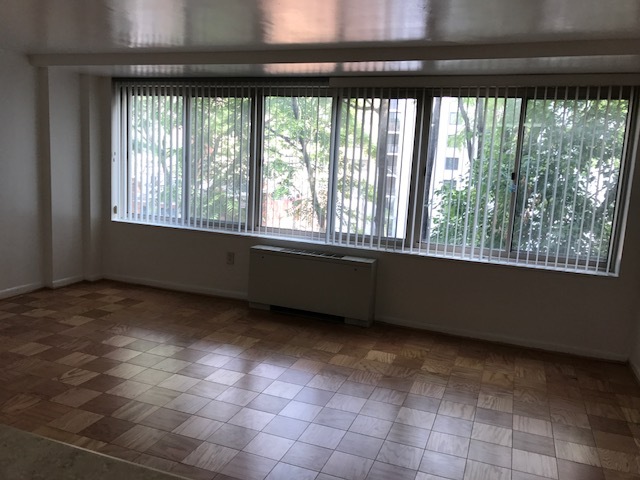 Main Corridor