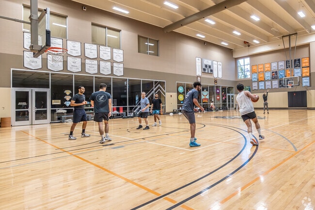 There are many basketball courts and sports clubs on Long Island.