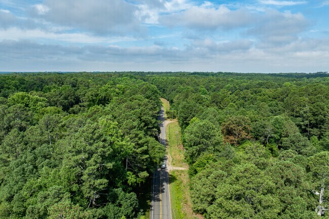 Jackson Springs is a very heavily wooded neighborhood.