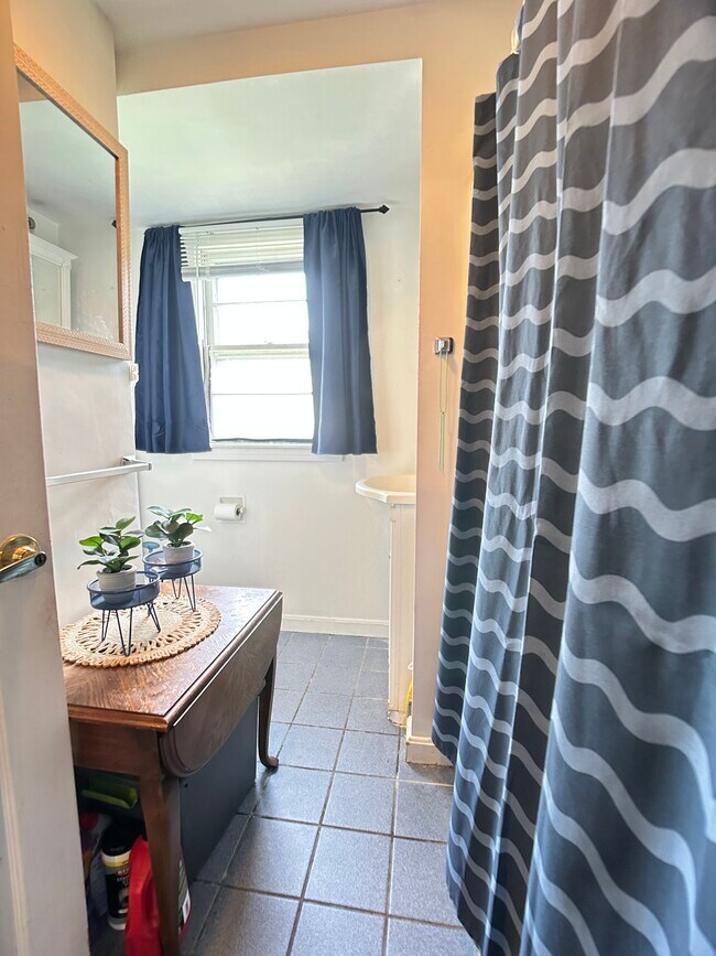 43 May St unit 2, Cambridge, MA 02138 - photo 7