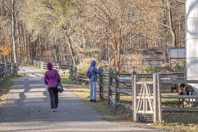 Greet the friendly and awesome  animals of the Stamford Nature Center near Turn of the River.