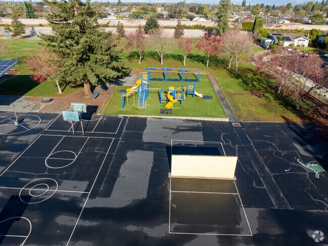 Learning flourishes at Almaden Elementary School.