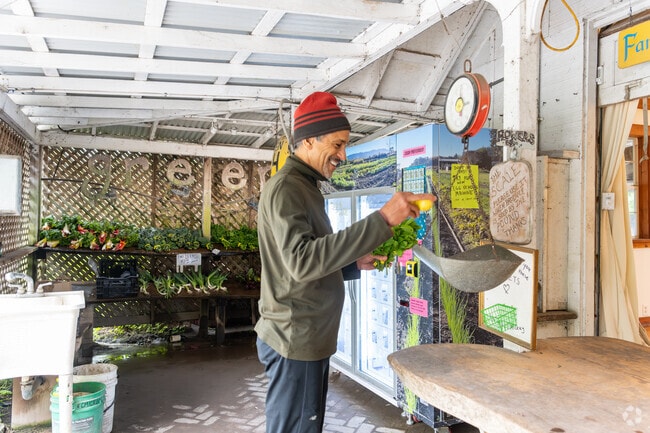Gospel Flat Farm Stand in Bolinas offers honor payments and an egg vending machine.