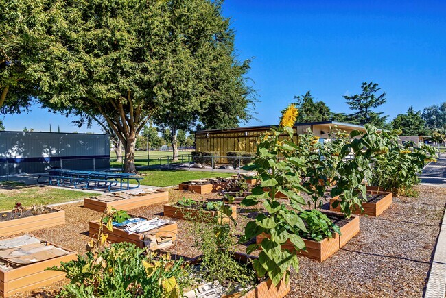 James Marshall Elementary School in Rouse Modesto, Ca.