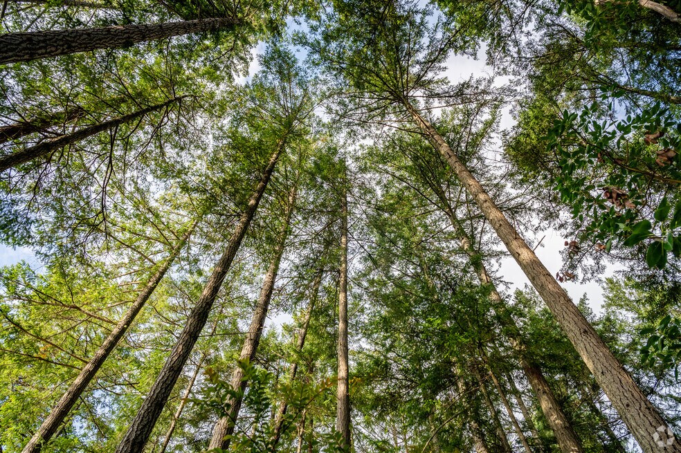 Neighborhood_Anderson Island_V1_120523