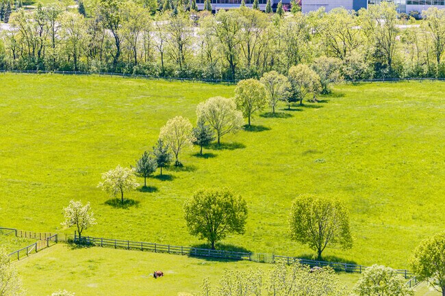 Danada Equestrian Center borders DuPage Forest Preserve in Wheaton.