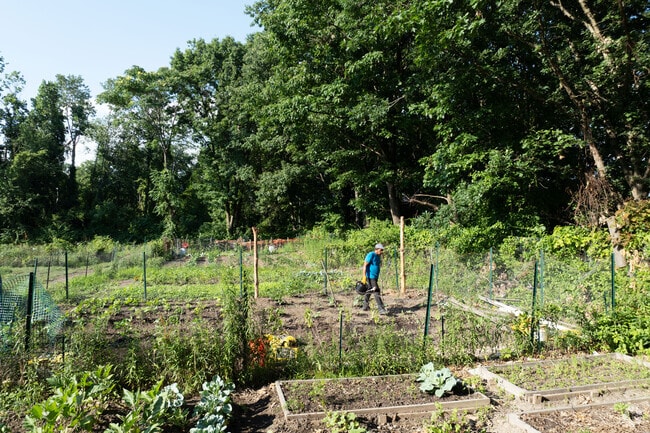 Tivoli Lake Preserve & Farm is 80 acres that focuses on conservation, education and recreation.