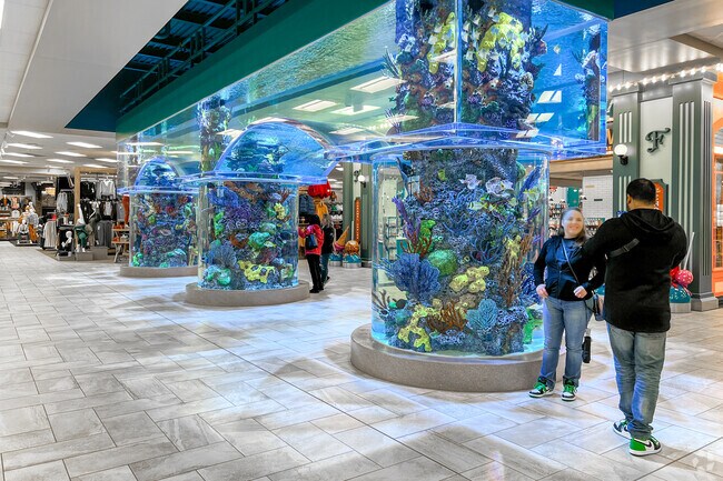 Stop by Scheels near Sunnybrook to see a small aquarium.