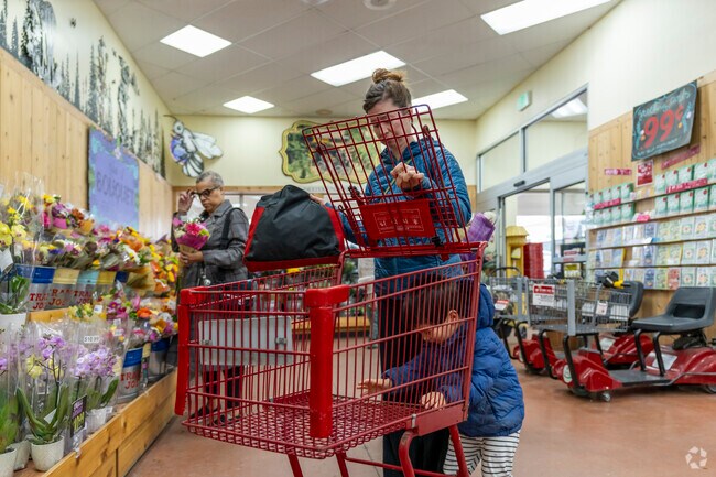 Stock up on everyday essentials and grocery needs at the local Trader Joe's in North Burns Park.