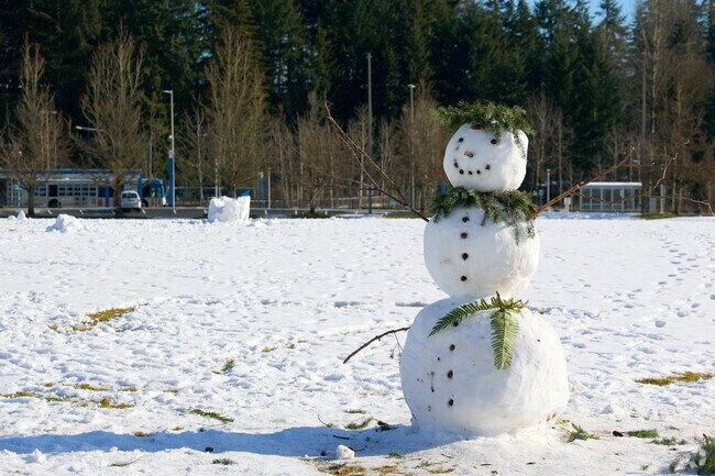 McCollum Park invites visitors to explore 78 acres of wetlands.