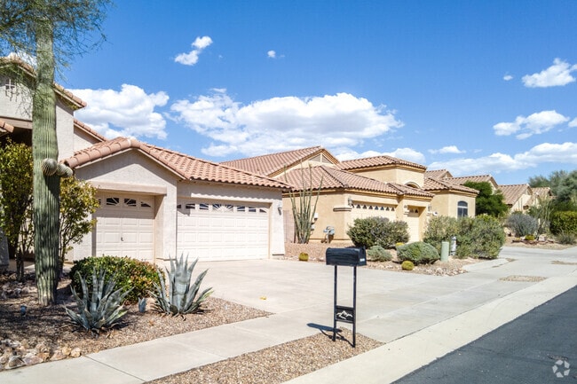 Yards can be full of vibrant plants in Saguaro Bloom.