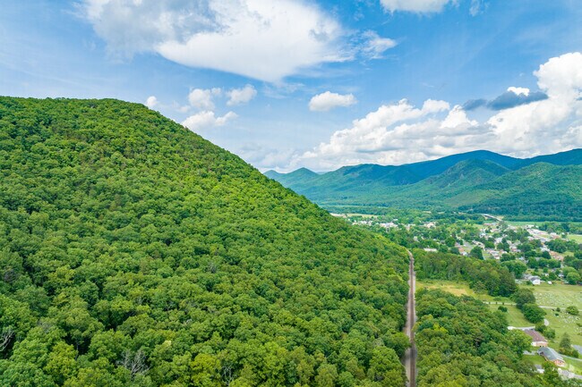 Nestled in the valley, Natural Bridge offers access to mountain views, forested trails, and small-town charm.