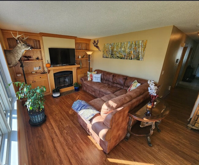 210 NE 12th Street Place, Ankeny, IA 50021 - photo 4