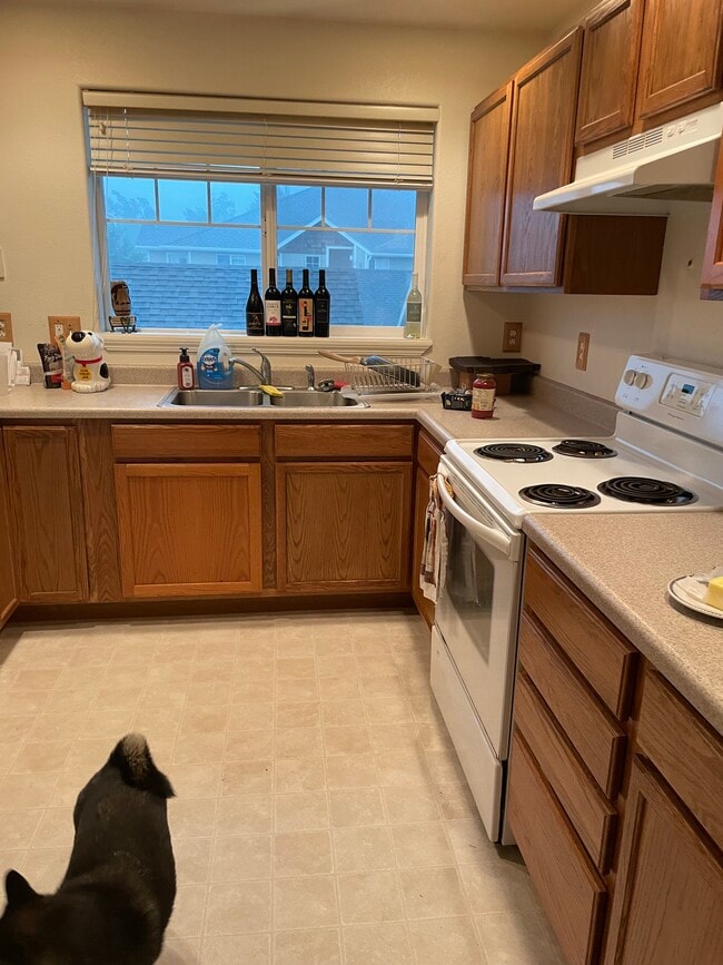 877 Forestglen Dr unit Condo For Rent, Bozeman, MT 59718 - photo 4