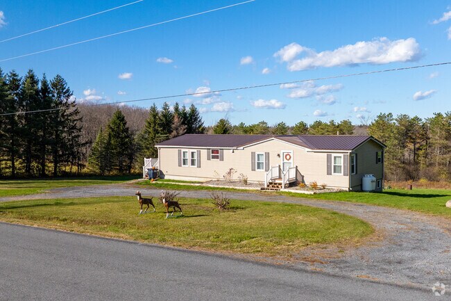 Ranch-style homes with wide gravel driveways can be found in Niles.