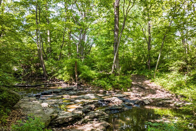 Autumn Trail takes visitors to scenic Cricket Creek in Gracemor-Randolph Corners.