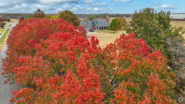 Beautiful fall colors paint the streets of Raceway in red, yellow and orange every fall.