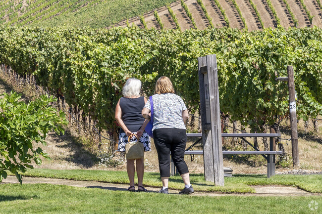 There are a lot of vineyards in the Tenmile area.